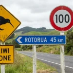Driving in New Zealand: Complete Guide for Safe and Confident Travel
