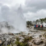 Auckland to Rotorua Travel Guide | Drive, Bus & Top Attractions