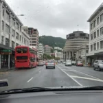 Wellington to Palmerston North Drive | Complete Road Trip Guide
