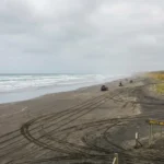 90 Mile Beach NZ: Ultimate Guide to Te-Oneroa-a-Tōhē in Northland